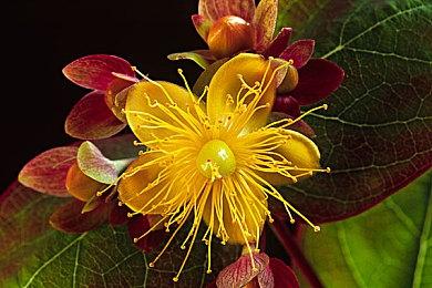 《战锤40K：暗潮》新宣传片 抵御汹涌如潮水的敌人